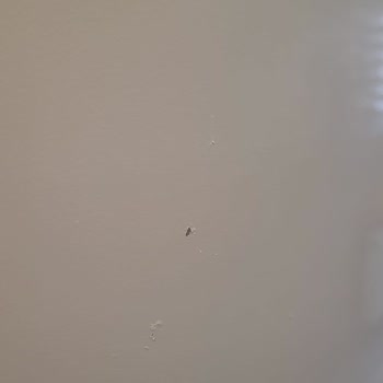 Arçelik'in Ürünün Arkasında Durmaması Ve Buzdolabı Problemi