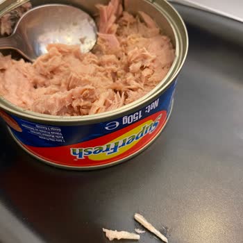 Superfresh Ton Balığından Çıkan Cisim