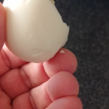 Ercanlar Yumurta Bozuk Yumurta Kötü Koku