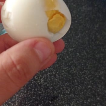 Ercanlar Yumurta Bozuk Yumurta Kötü Koku