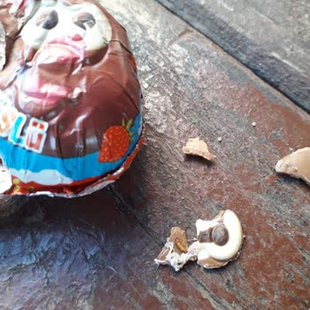Ozmo Sürpriz Yumurtadan Böcek Çıkması.