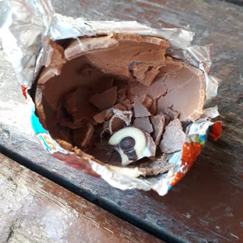 Ozmo Sürpriz Yumurtadan Böcek Çıkması.