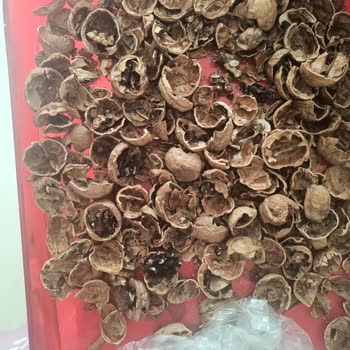 Migros Sanal Market Bozuk Ürün