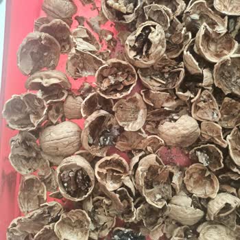 Migros Sanal Market Bozuk Ürün