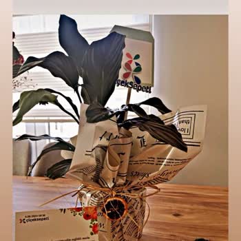 ÇiçekSepeti'nden Alınan Çiçeklerde Yaşanan Sorun