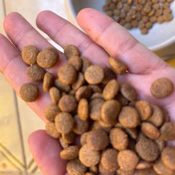 Trendyol Olumsuz Yorumları Yayımlamıyor