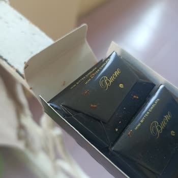 BİM Buono Çikolatanın İçerisi Karınca Doluydu