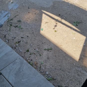 Meram Belediyesinin Çalışma Şekli