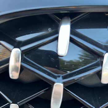 Köprülü Oto BMW Böbreklerinde Vernik Atığı