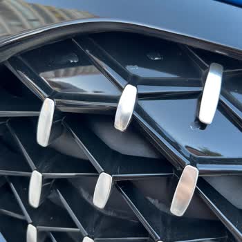 Köprülü Oto BMW Böbreklerinde Vernik Atığı