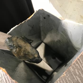 BİM İçinden Çıkan Siyah Tuhaf Nesne