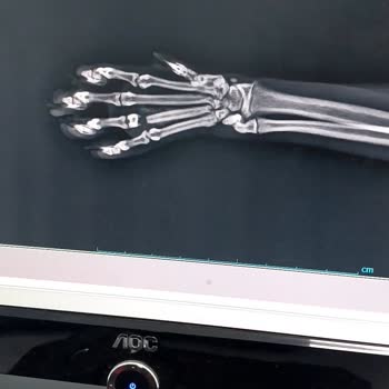 Hüseyingazi Veteriner Kliniği Hatası