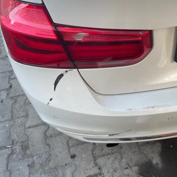 Martı Moped Aracıma Hasar Verdi