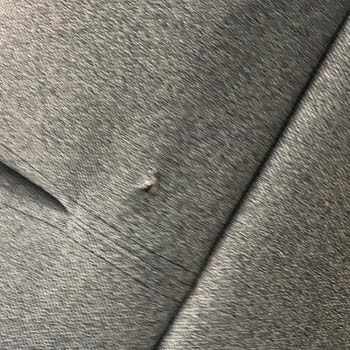 Enza Home Şikayetçiyim