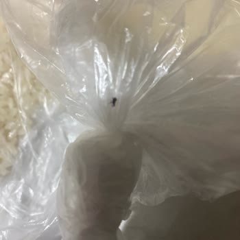 BİM Efsane Pirinçten Canlı Böcek Çıktı!