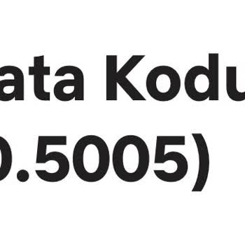 Onvo Android Televizyon Netflix Lisans Sorunu