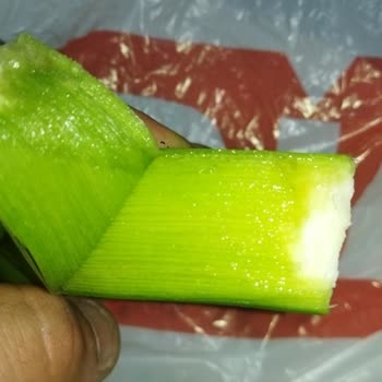 BİM Olmamış Muz Satışı!