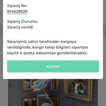 Valentirosecom (Instagram) Sipariş Verdiğim Ürünüm Hala Kargoya Verilmedi