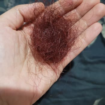 Yves Rocher Boyalı Saçlar Şampuanı Saçlarımı Döktü