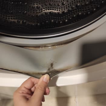 Siemens Ev Aletleri Çamaşır Makinesi Lastiğinde Çamur Küf Kötü Koku