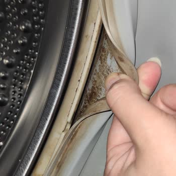 Siemens Ev Aletleri Çamaşır Makinesi Lastiğinde Çamur Küf Kötü Koku