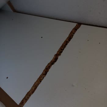 A101 Kırık Ürün Gönderiyor