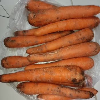 Şok Market Bozuk Çürük Gıda
