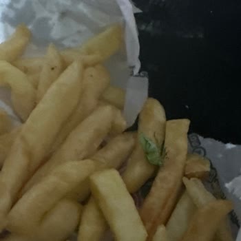 Öncü Döner Lüleburgaz Patatesli Böcek