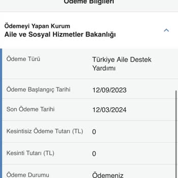Aile ve Sosyal Hizmetler Bakanlığı Aile Destek Param 0 Olarak Görünüyor