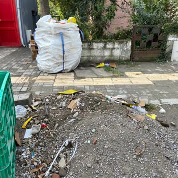 Şok Marketler Atık Kağıt Çevre Sorunu