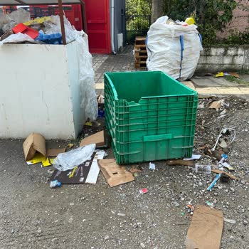 Şok Marketler Atık Kağıt Çevre Sorunu