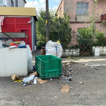 Şok Marketler Atık Kağıt Çevre Sorunu