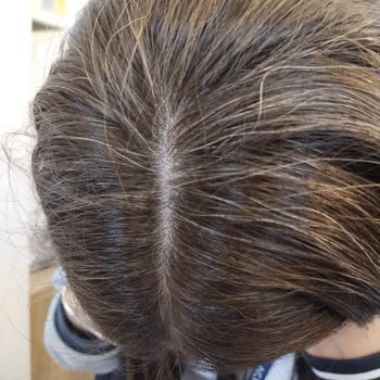 Palette Renk Değişimi Olmadı