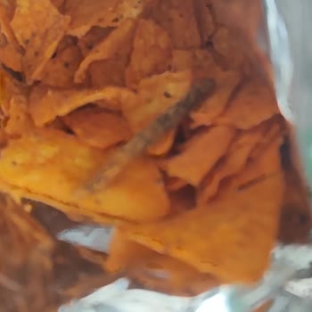Patos Cips Paketinden Çıkan Mide Bulandırıcı Cisim