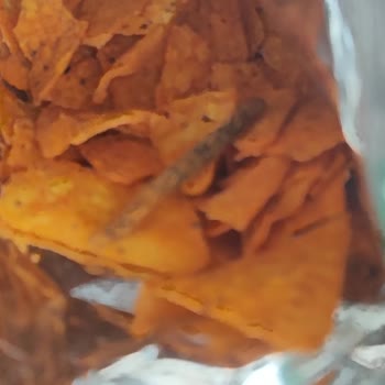 Patos Cips Paketinden Çıkan Mide Bulandırıcı Cisim