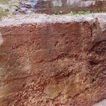 Kağıthane Belediyesi Duvardan Su Akıyor