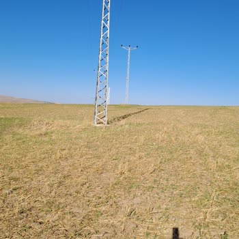 Başkent Elektrik Dağıtım Bedaş Tapulu Arazimize İzinsiz 4 Adet Elektrik Direği Dikmiş.