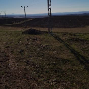 Başkent Elektrik Dağıtım Bedaş Tapulu Arazimize İzinsiz 4 Adet Elektrik Direği Dikmiş.