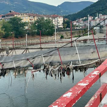 Devrek Belediyesi Onarılamayan Asma Köprü
