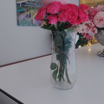 Taze Çiçek Her Zamanki Gibi Yine Şaşırtmadı (! )