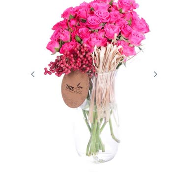 Taze Çiçek Her Zamanki Gibi Yine Şaşırtmadı (! )