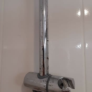 Roca Duş Askı Aparatı Küflendi