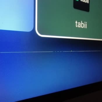 Dijitsu 55inc Ekran Arızası Ve Servisin İlgilenmemesi