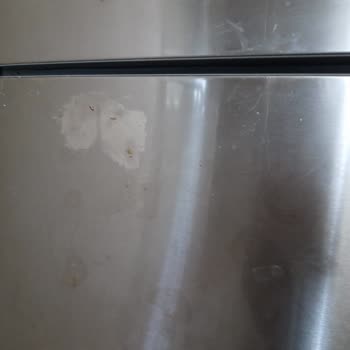 Siemens Buzdolabı Kapağında Soyulma