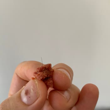 Şahin Sucukları Sucuktan Kıl Çıkması