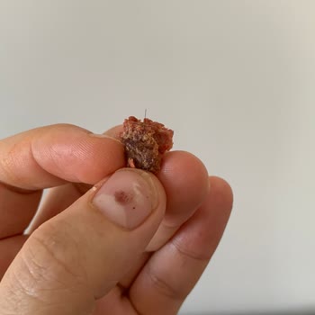 Şahin Sucukları Sucuktan Kıl Çıkması