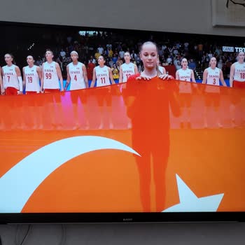 Arçelik Plazma TV Sürekli Ekranda Çizgiler Oluşuyor.