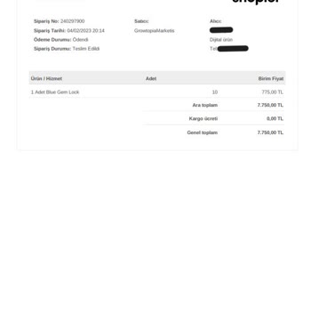 Shopier Mağazamdan Çalıntı Kart İle Alışveriş Yapıldı Ceza Bana Kesildi