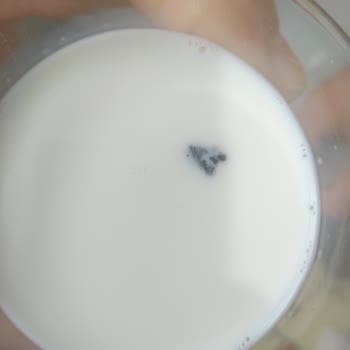 A101 Günlük Sütün İçinde Çıkan Madde