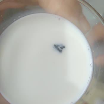 A101 Günlük Sütün İçinde Çıkan Madde